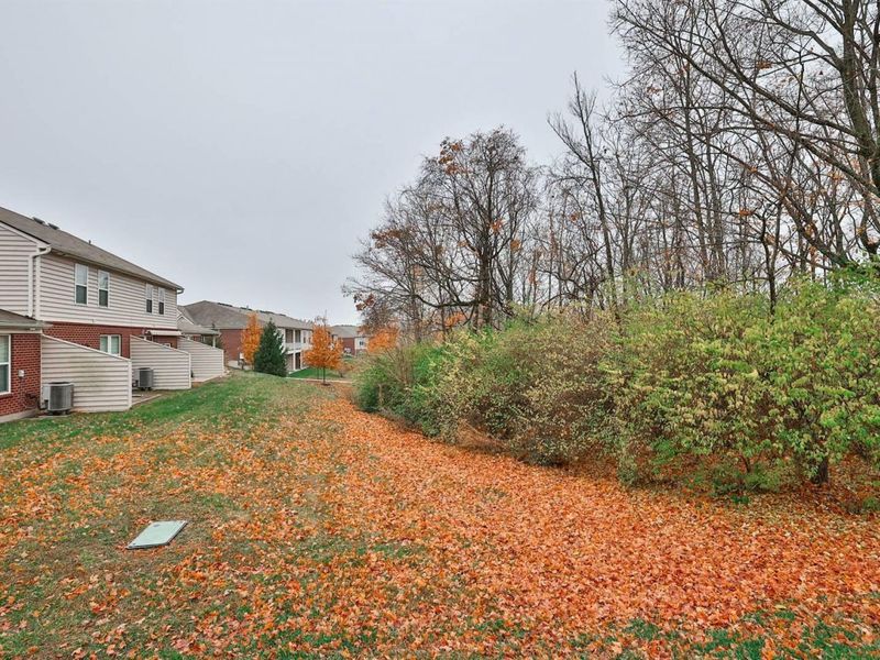 9651 Soaring Breezes, Union, KY 41091 Photo 37