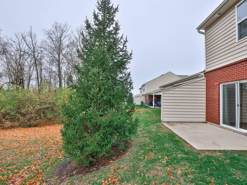 9651 Soaring Breezes, Union, KY 41091 Photo 39