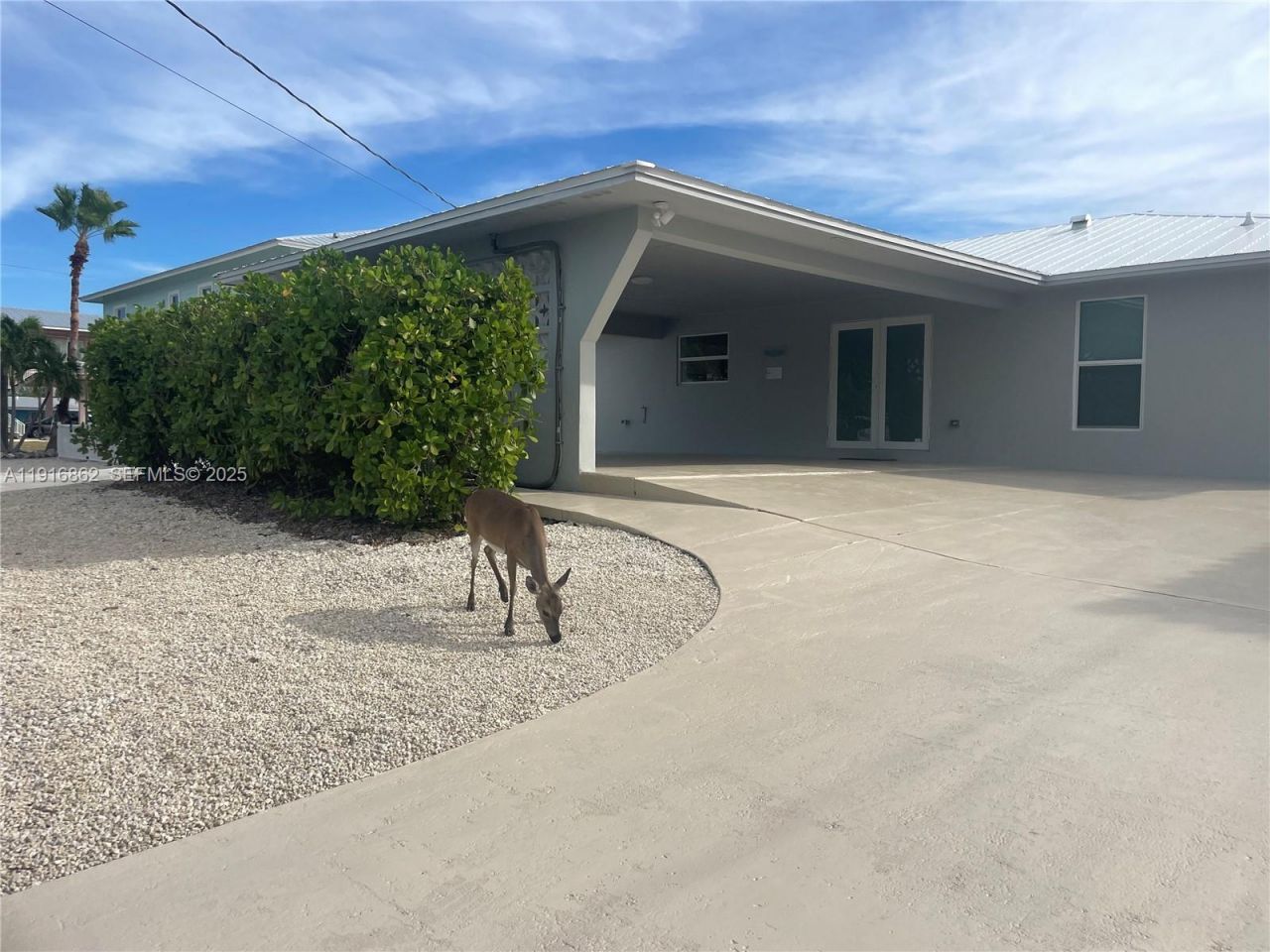 1733 Sunrise Dr, Big Pine Key, FL 33043 Photo