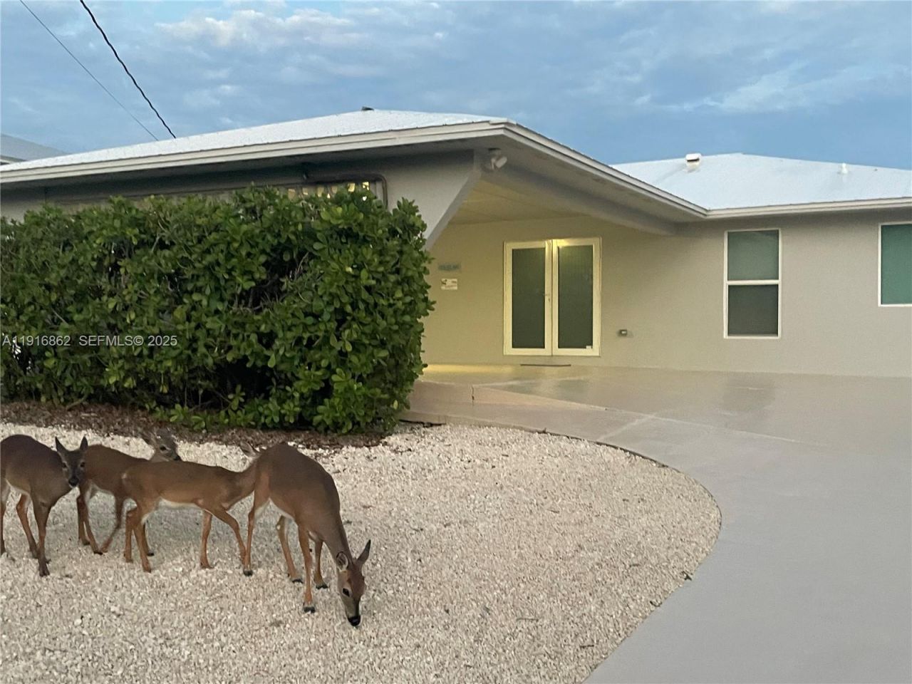 1733 Sunrise Dr, Big Pine Key, FL 33043 Photo