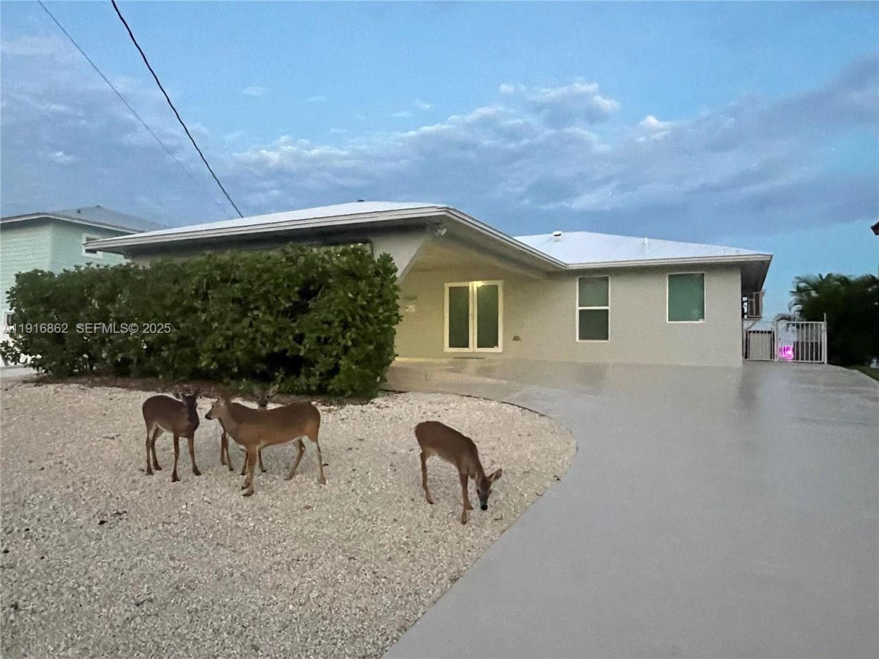 1733 Sunrise Dr, Big Pine Key, FL 33043 Photo