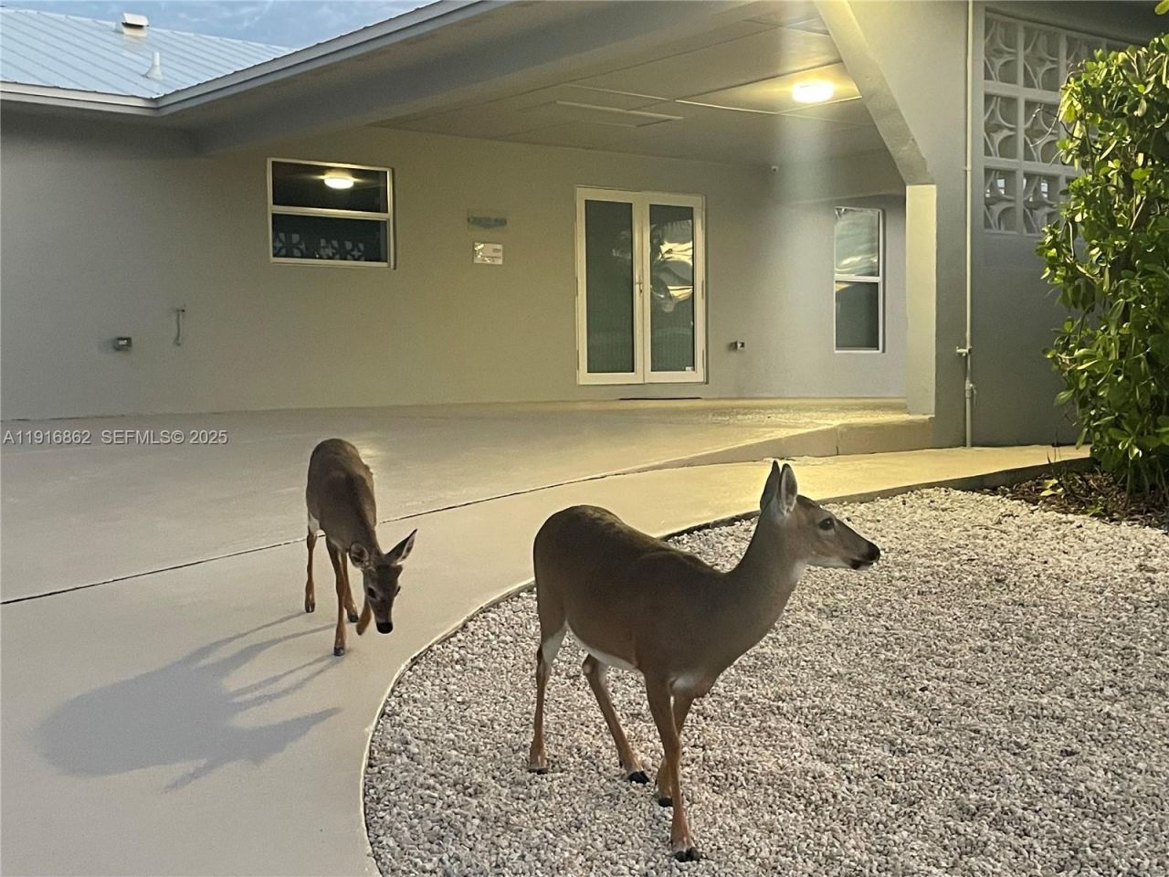 1733 Sunrise Dr, Big Pine Key, FL 33043 Photo