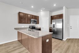226 Central Creek Drive photo 4
