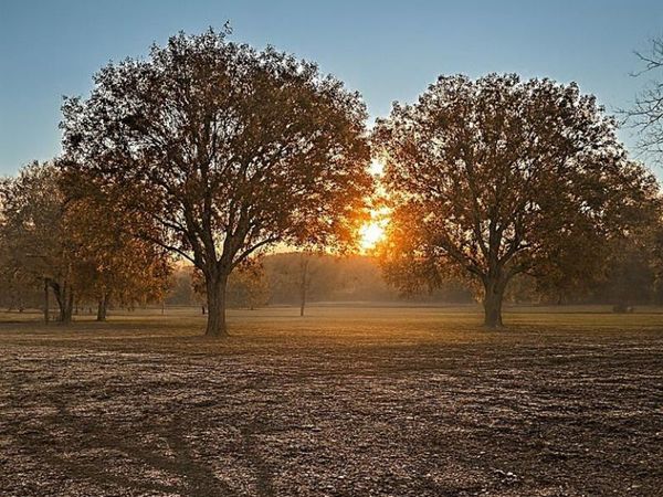 647 County Road 4642, Trenton, TX 75490