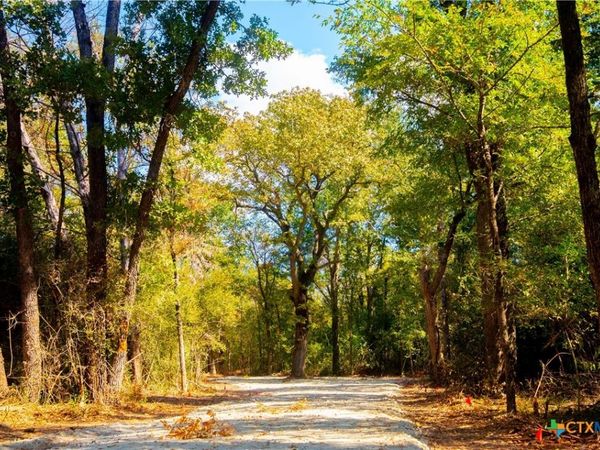 12338 Red Hill Rd , Hearne, TX 77859