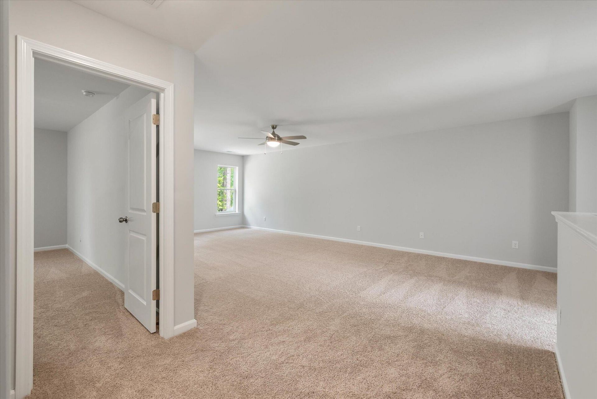 205 Palfrey Drive Photo 28