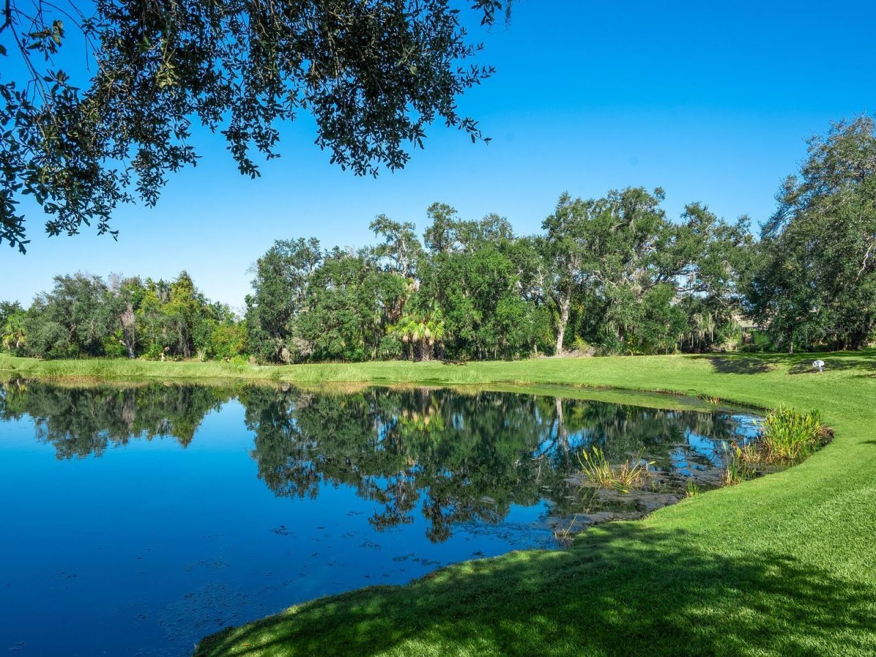 12129 Thornhill Court, Lakewood Ranch, FL 34202 Photo