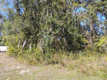 TBD SE 61ST PLACE, OCKLAWAHA, FL 32179