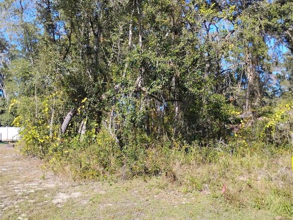 TBD SE 61ST PLACE, OCKLAWAHA, FL 32179