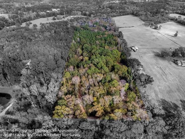 590 An County Road 169, Elkhart, TX 75839