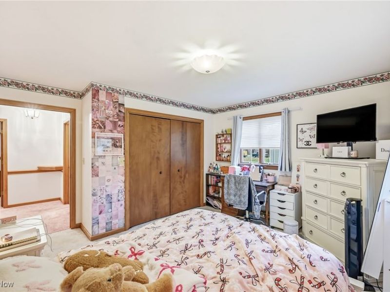 2342 Mccleary Jacoby Road, Cortland, OH 44410 Photo 43