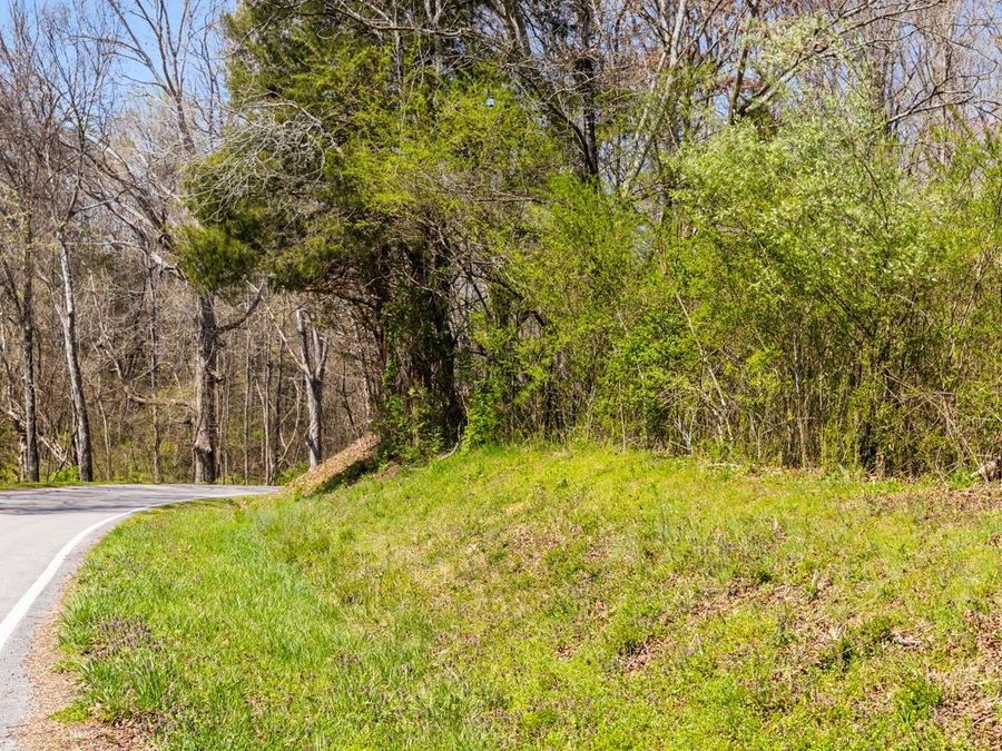 Property Image 19