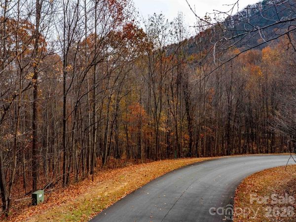 Lot 2110 Harm Creek Loop, Mill Spring, NC 28756
