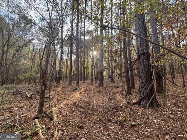0 Oconee Road, Unit LOT 4, Buckhead, GA 30625