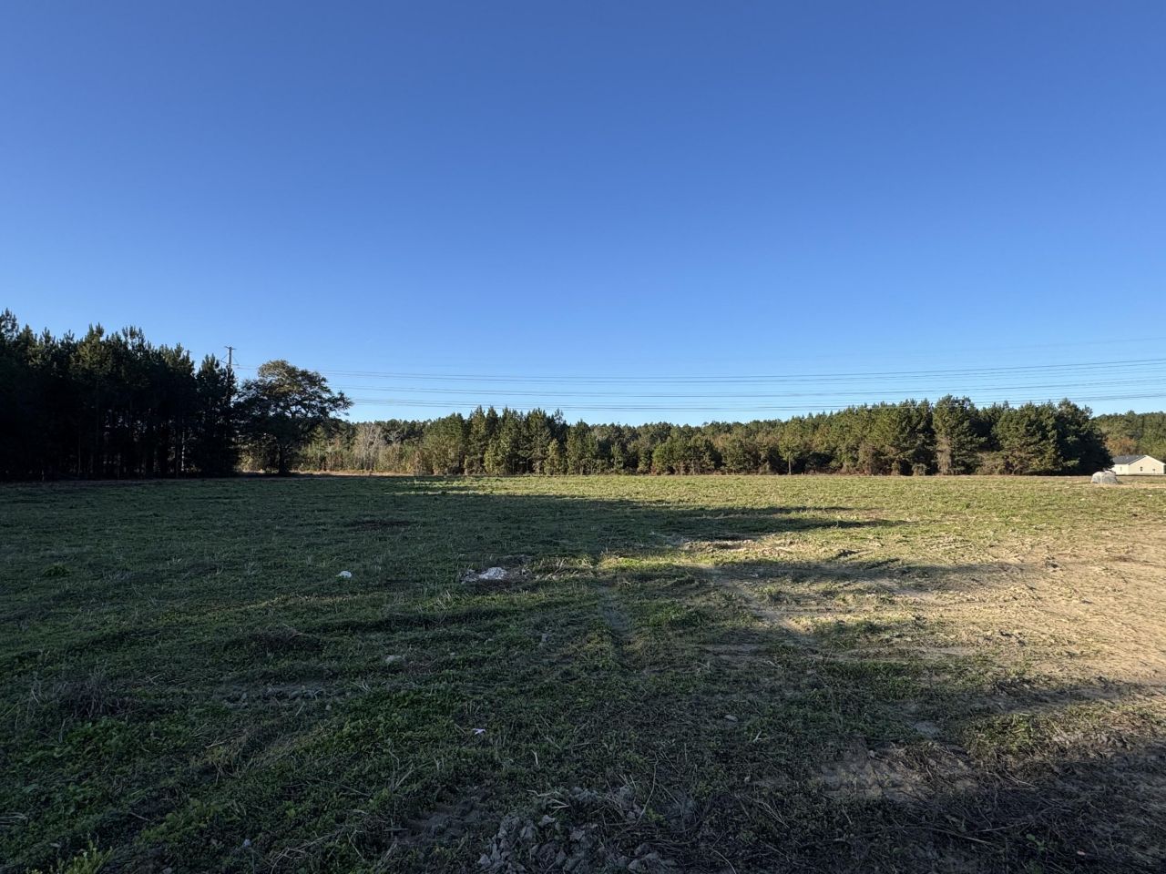 677 Winningham Road Photo 7