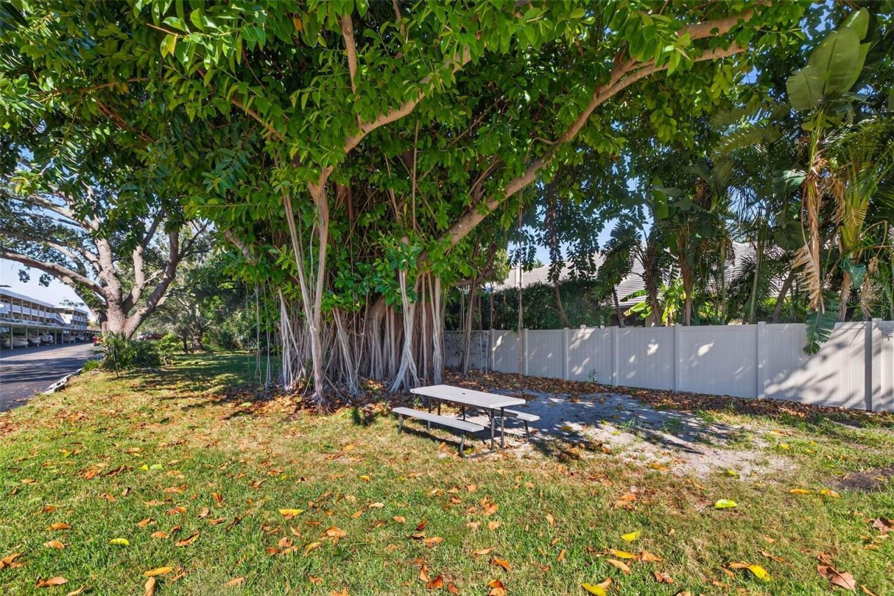 4880 Locust Street Ne, Unit 330, Saint Petersburg, FL 33703 Photo