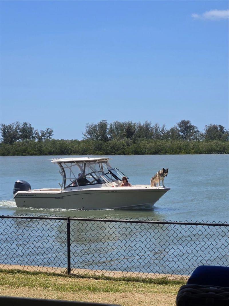 5694 Oakhurst Drive, Seminole, FL 33772 Photo