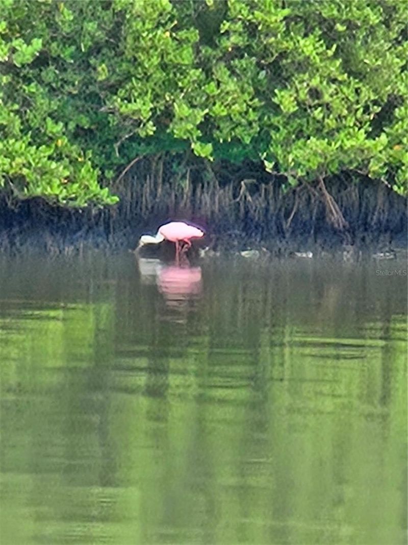 5694 Oakhurst Drive, Seminole, FL 33772 Photo