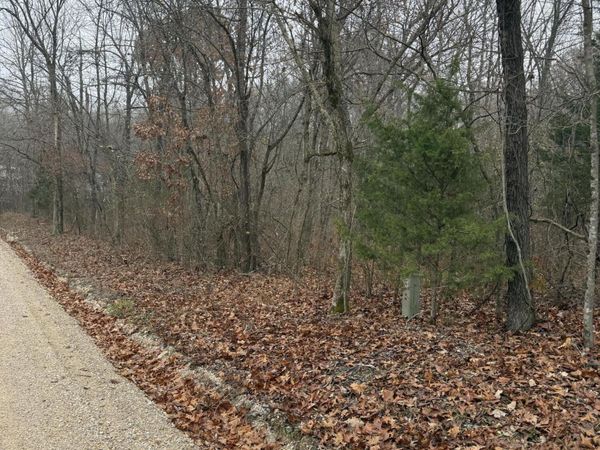 000 Pecan Drive, Grovespring, MO 65662