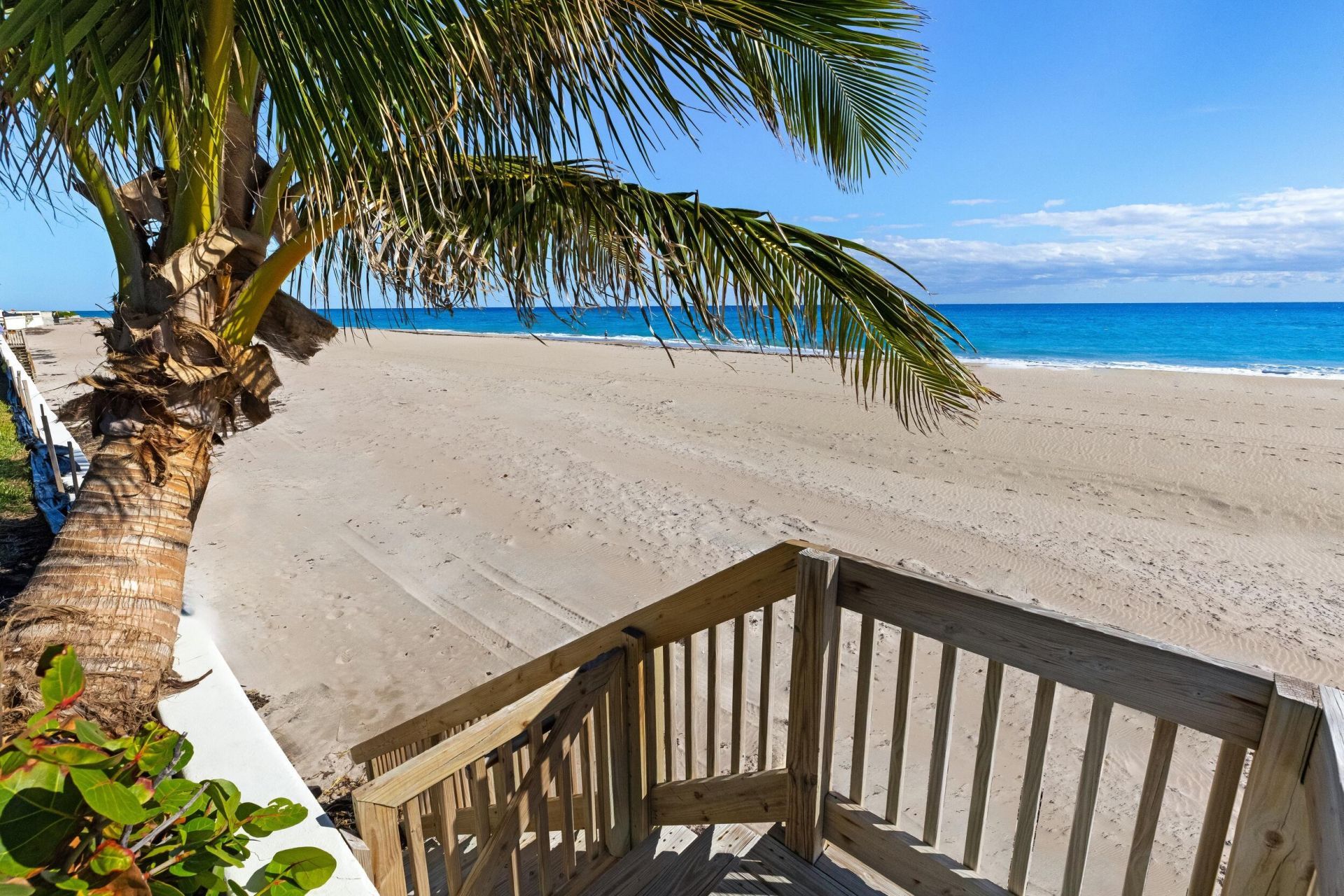 115 Via La Selva, Palm Beach, FL 33480 Photo