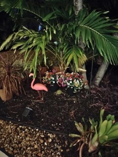 2611 NE 53rd Street, Lighthouse Point, FL 33064 Photo