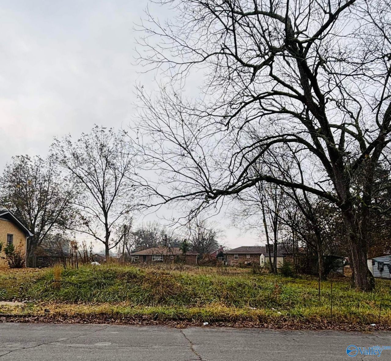 0.25 Acres E 8th Street, Tuscumbia, AL 35764 Main Photo