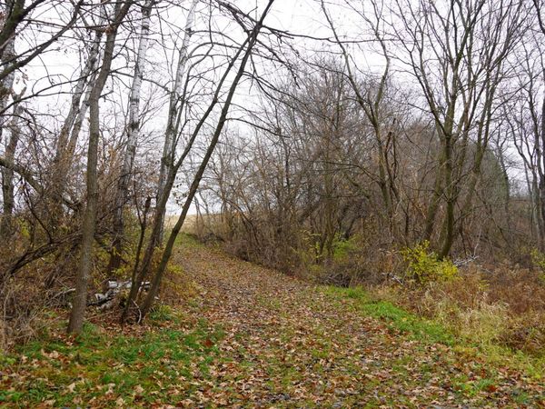 55305 Stoney Point Rd, Seneca, WI 54654