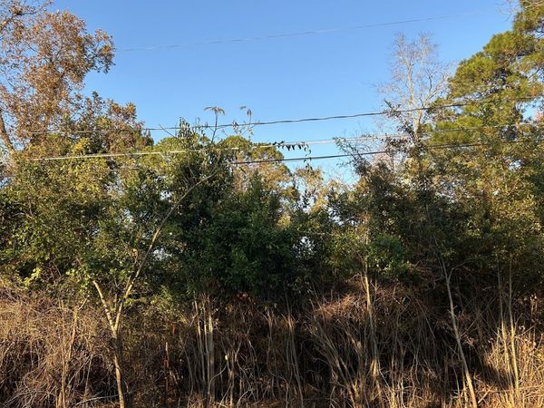 0 Bonaire Street, Mcrae, GA 31055