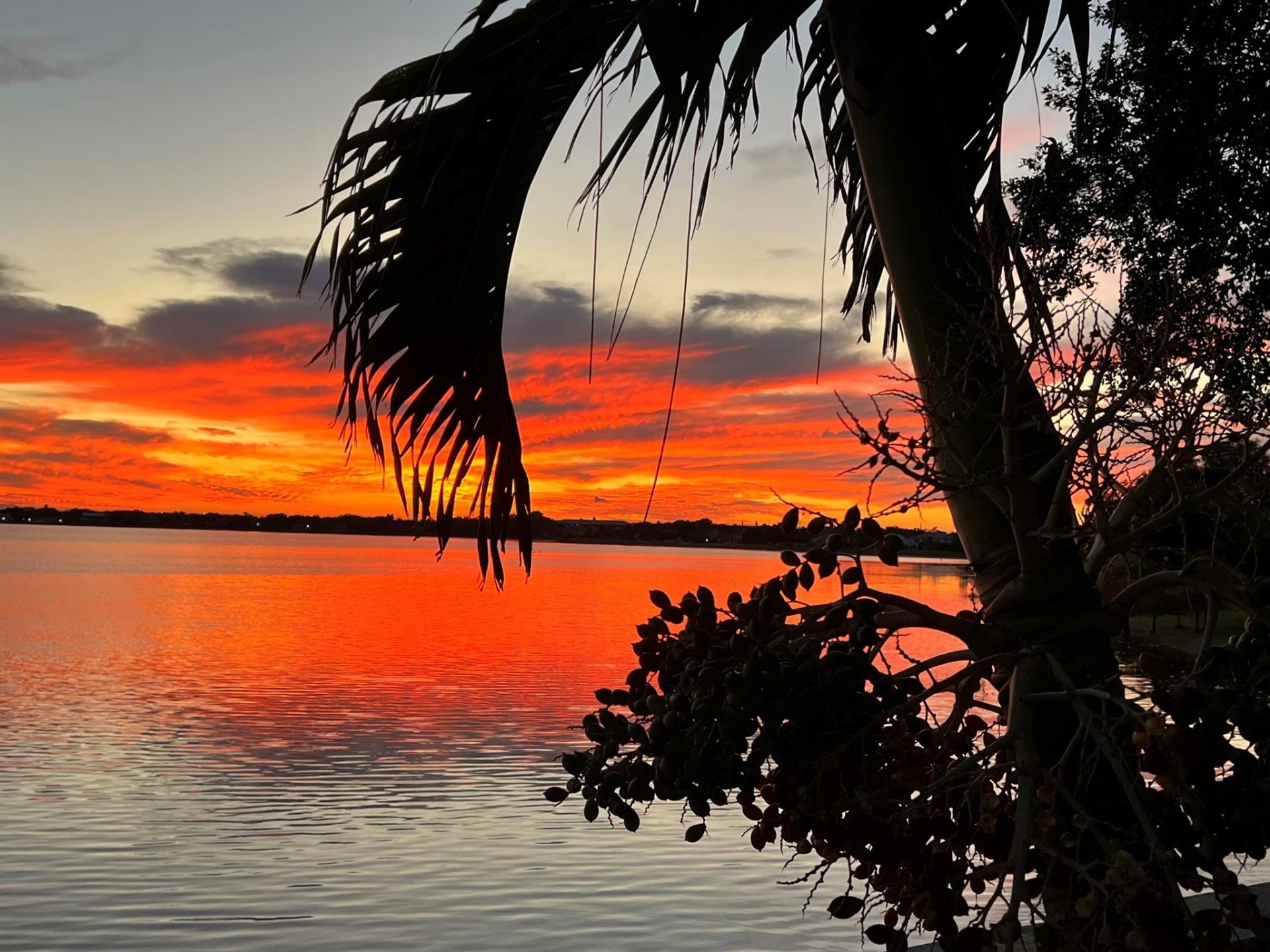 1538 39th Street, West Palm Beach, FL 33407 Photo