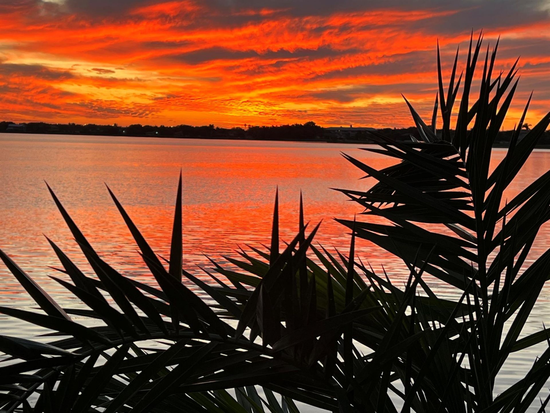 1538 39th Street, West Palm Beach, FL 33407 Photo