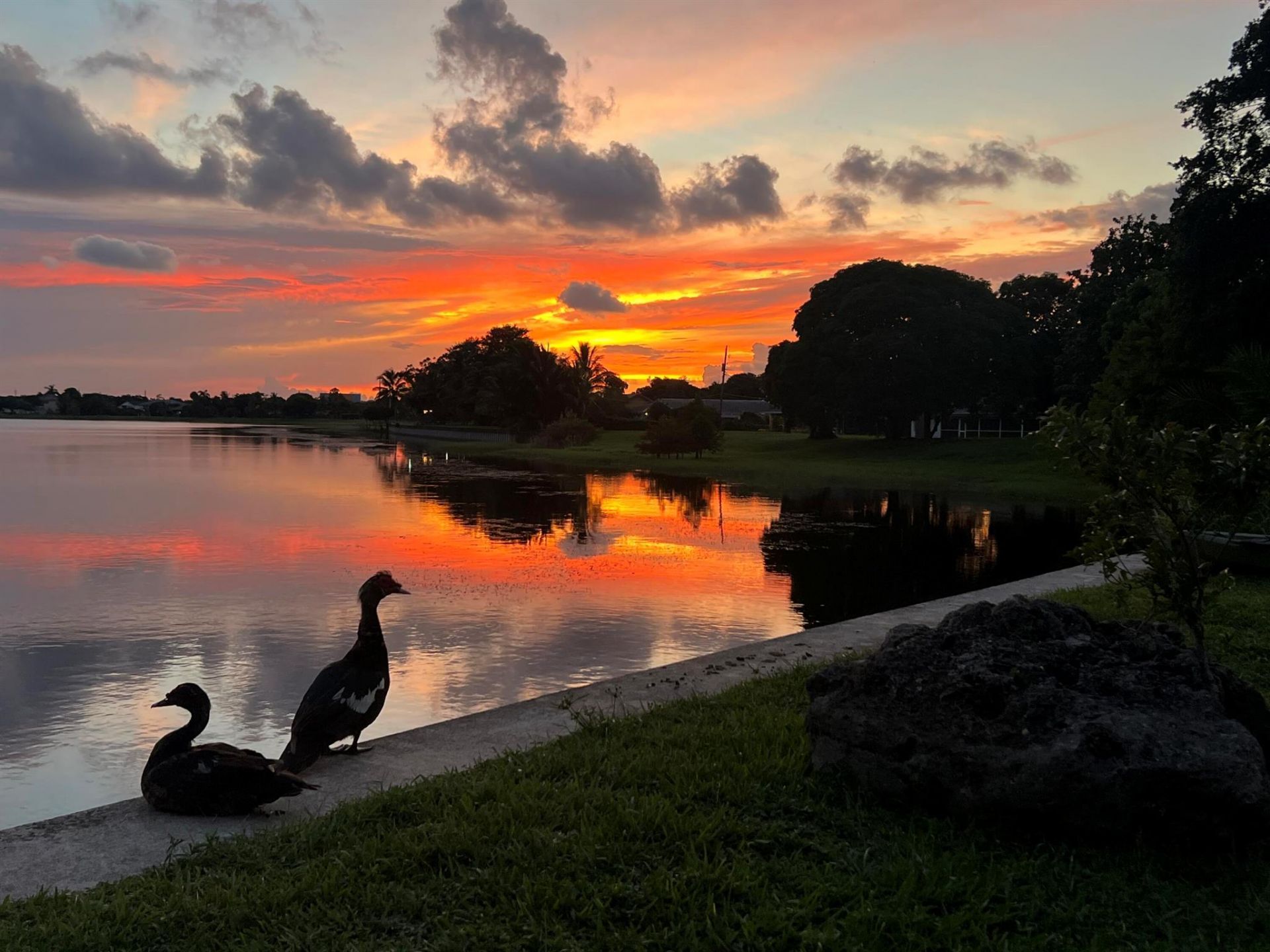 1538 39th Street, West Palm Beach, FL 33407 Photo