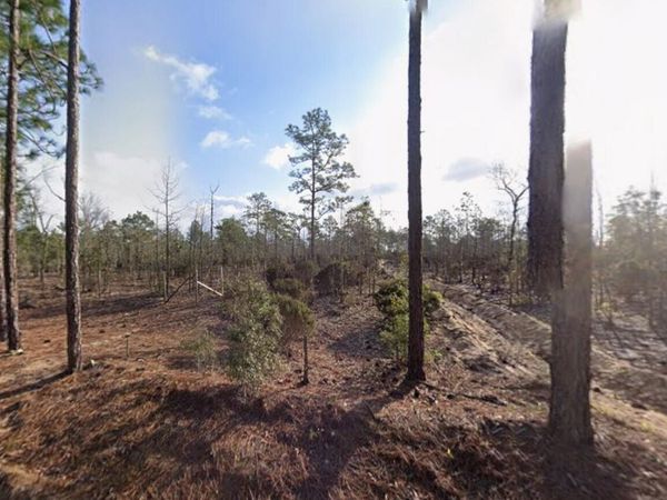 116 Tulip Avenue, Interlachen, FL 32148