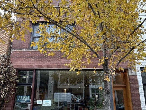 2134 N Damen Avenue, Unit 2, Chicago, IL 60647