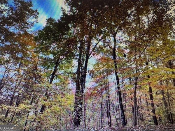 6 Morgan Creek Lot 6, Unit 6, Young Harris, GA 30582