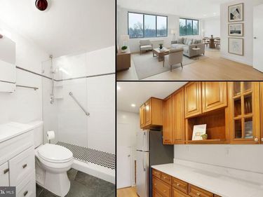 6621 WAKEFIELD DRIVE, Unit 418, ALEXANDRIA, VA 22307