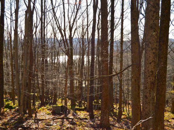 Lot 154 Daisy Drive, Terra Alta, WV 26764
