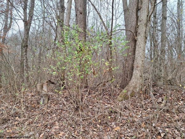 0 Jack Run Road, Bridgeport, WV 26330