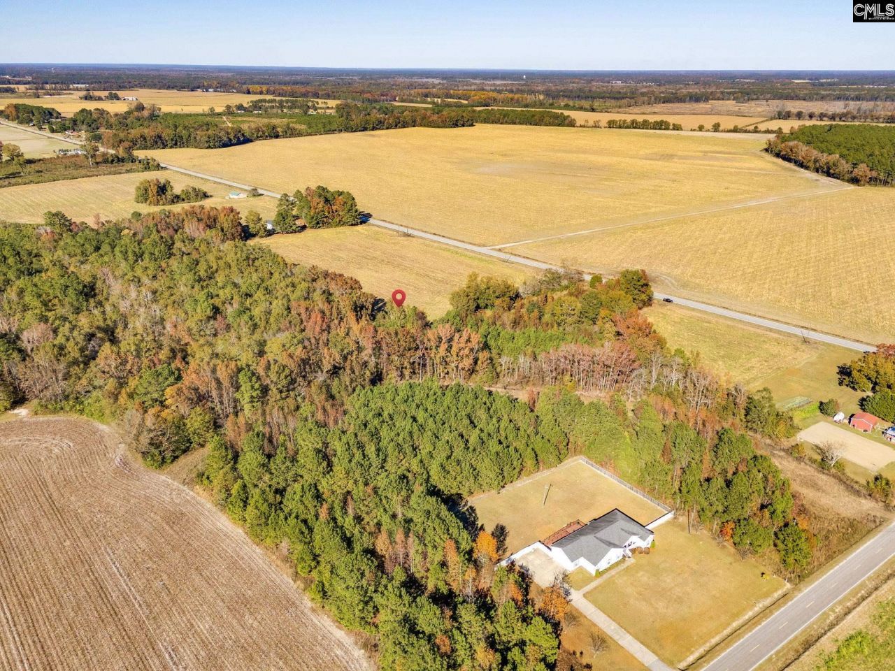 536 Elliott Highway Photo 5