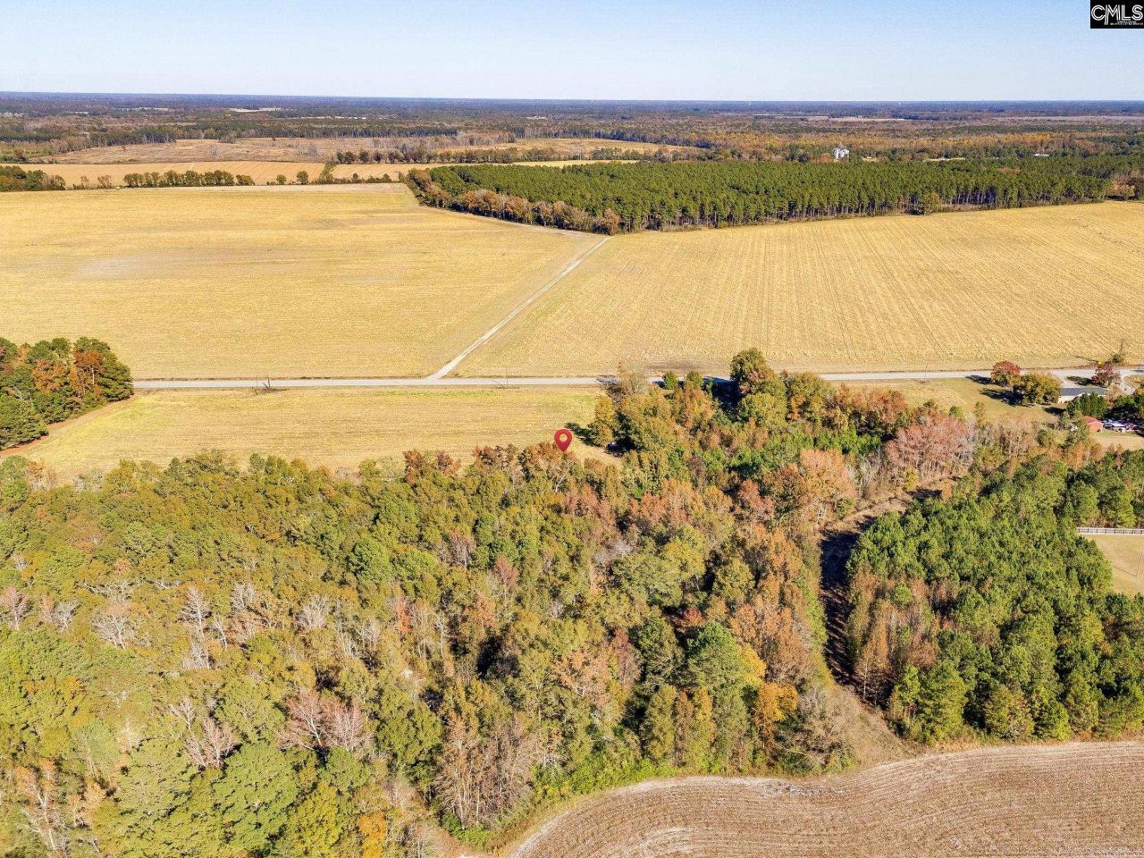 536 Elliott Highway Photo 6