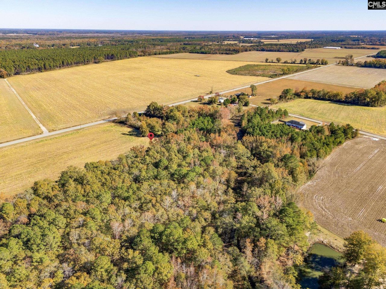 536 Elliott Highway Photo 7