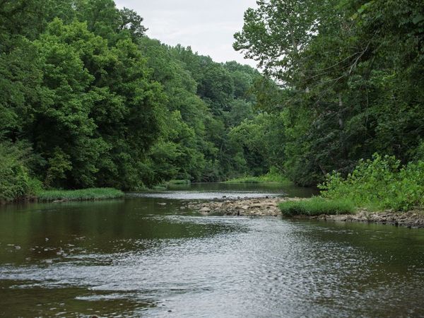 1125 Dawson Rd, White Bluff, TN 37187