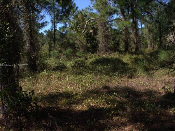 1917 Moore, Lehigh Acres, FL 33972