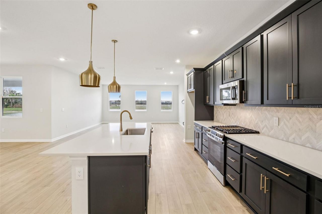 10168 Hidden Hammock Loop, Parrish, FL 34219 Photo