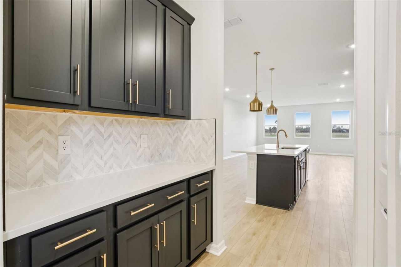 10168 Hidden Hammock Loop, Parrish, FL 34219 Photo