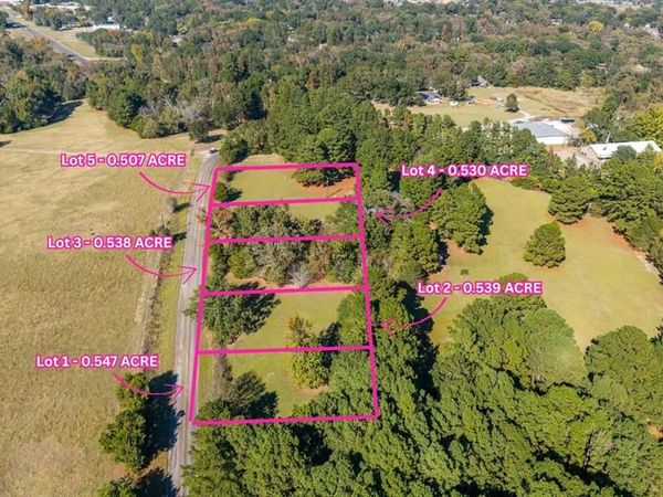 TBD County Road 2174 Lot 4, Whitehouse, TX 75791