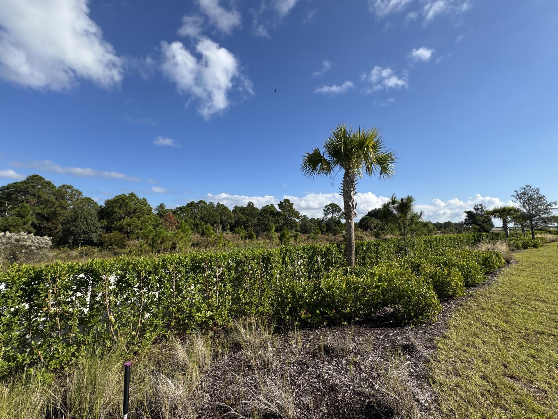 13085 Monte Rosa Court, Palm Beach Gardens, FL 33412 Photo