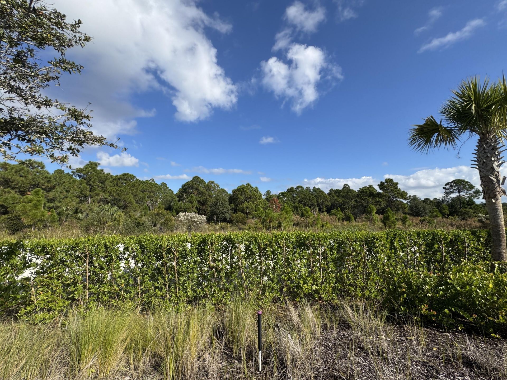 13085 Monte Rosa Court, Palm Beach Gardens, FL 33412 Photo