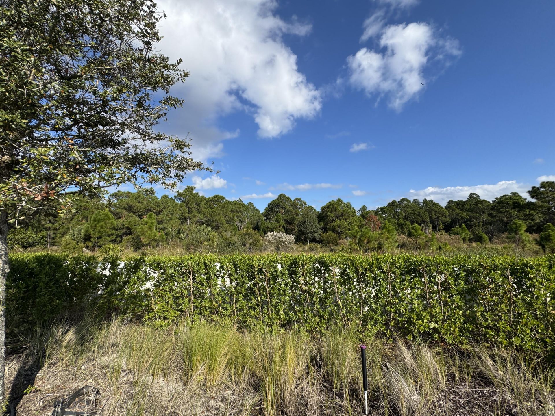 13085 Monte Rosa Court, Palm Beach Gardens, FL 33412 Photo