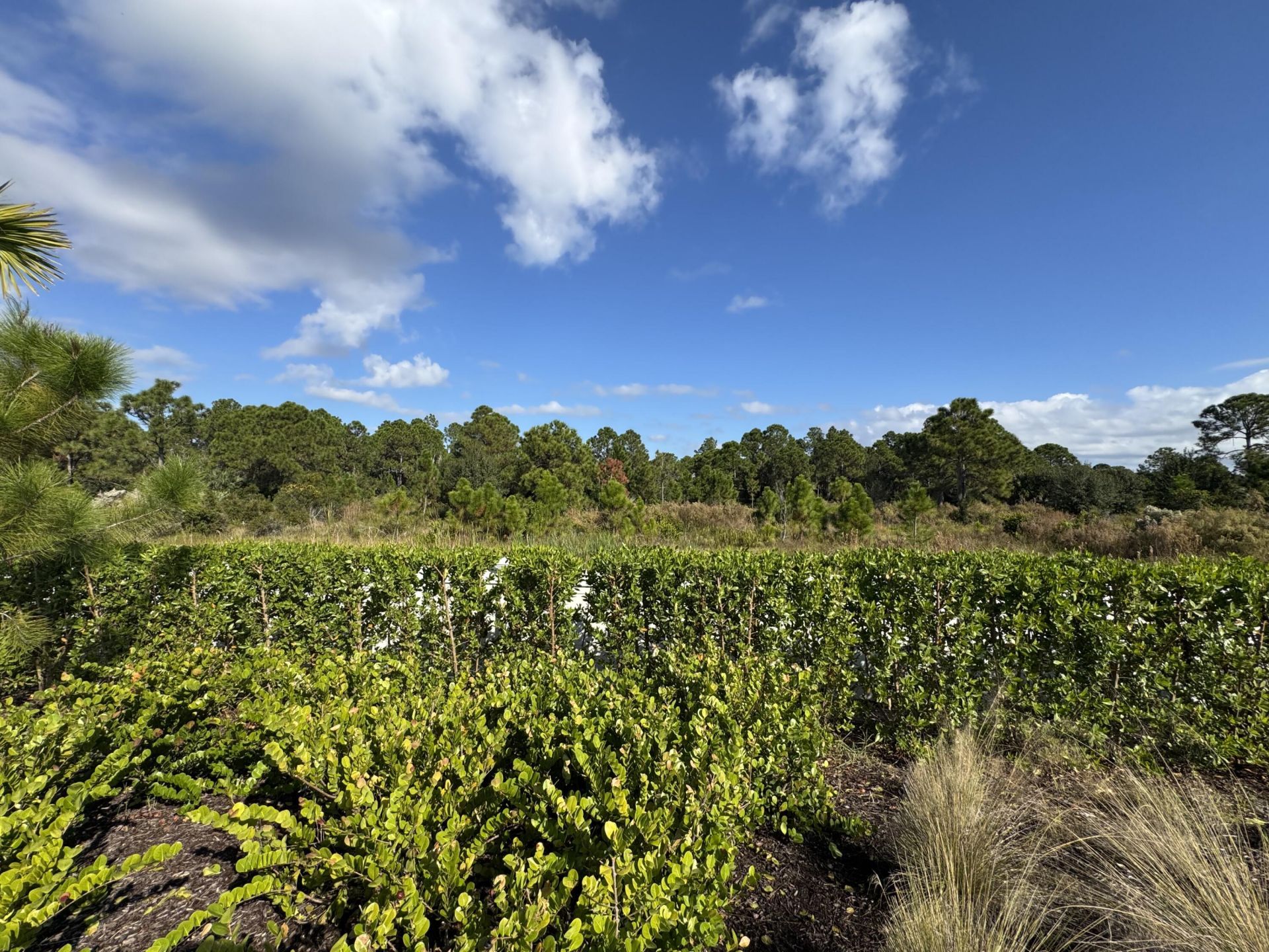 13085 Monte Rosa Court, Palm Beach Gardens, FL 33412 Photo