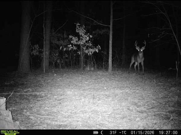 85 ac County Road 291, Water Valley, MS 38965